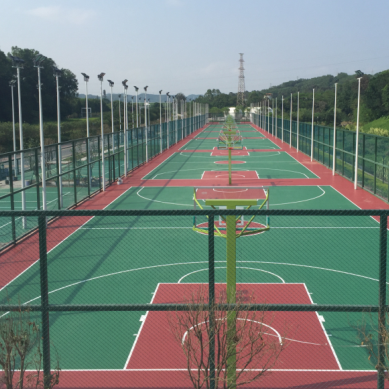深圳羅湖體育公園硅PU球場